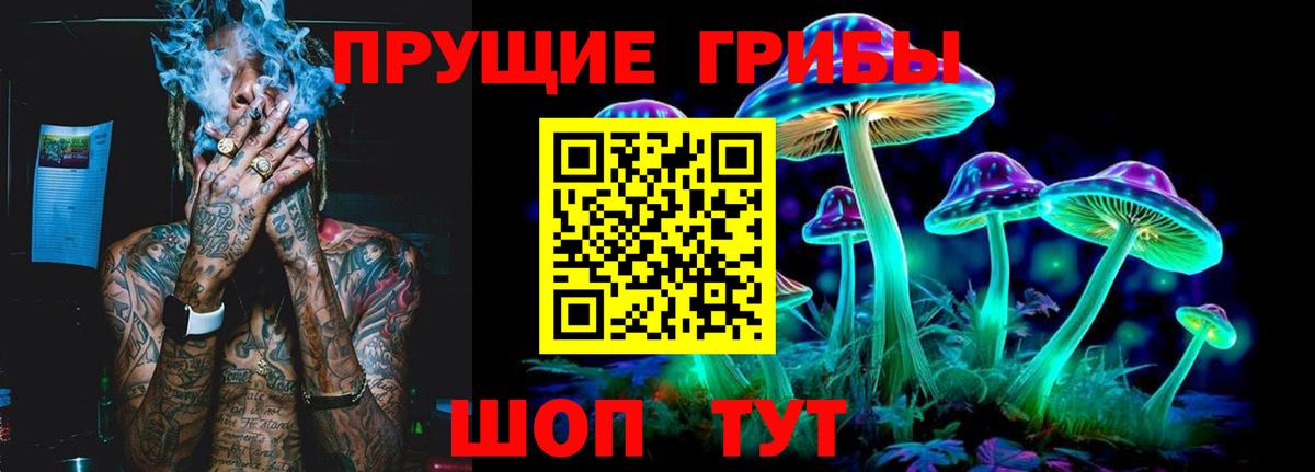 Шелехов  Галлюциногенные грибы Psilocybe  Вход с VPN  Псилоцибиновые грибы мицелий 